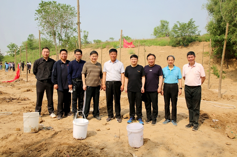 学校组织龙子湖校区文化广场植树活动